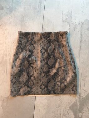 Zara Snake-Print Mini Skirt — Taupe & Black